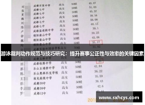 游泳裁判动作规范与技巧研究：提升赛事公正性与效率的关键因素